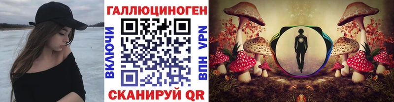 Псилоцибиновые грибы мухоморы  купить наркотики цена  Дальнегорск 