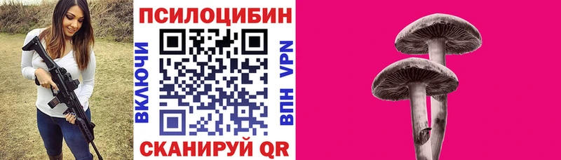 Псилоцибиновые грибы Psilocybe Дальнегорск